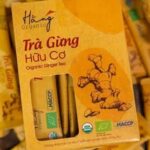 Demo Trợ Lý Tạo Prompt Bậc Thầy Hóa Thân Dược Liệu | Chia Sẻ Mẹo Dân Gian